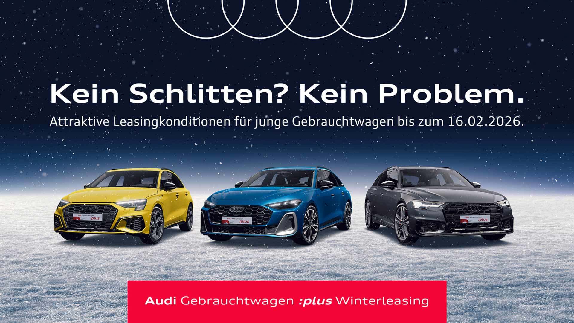 Audi Gebrauchtwagen :plus Winterleasing