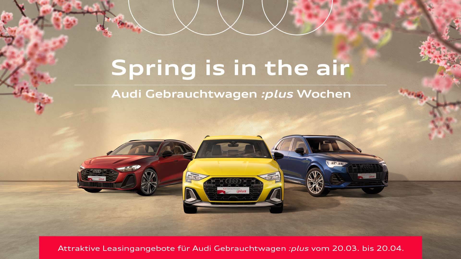 Audi Gebrauchtwagen :plus Wochen | ZEMKE Autohaus Bernau GmbH